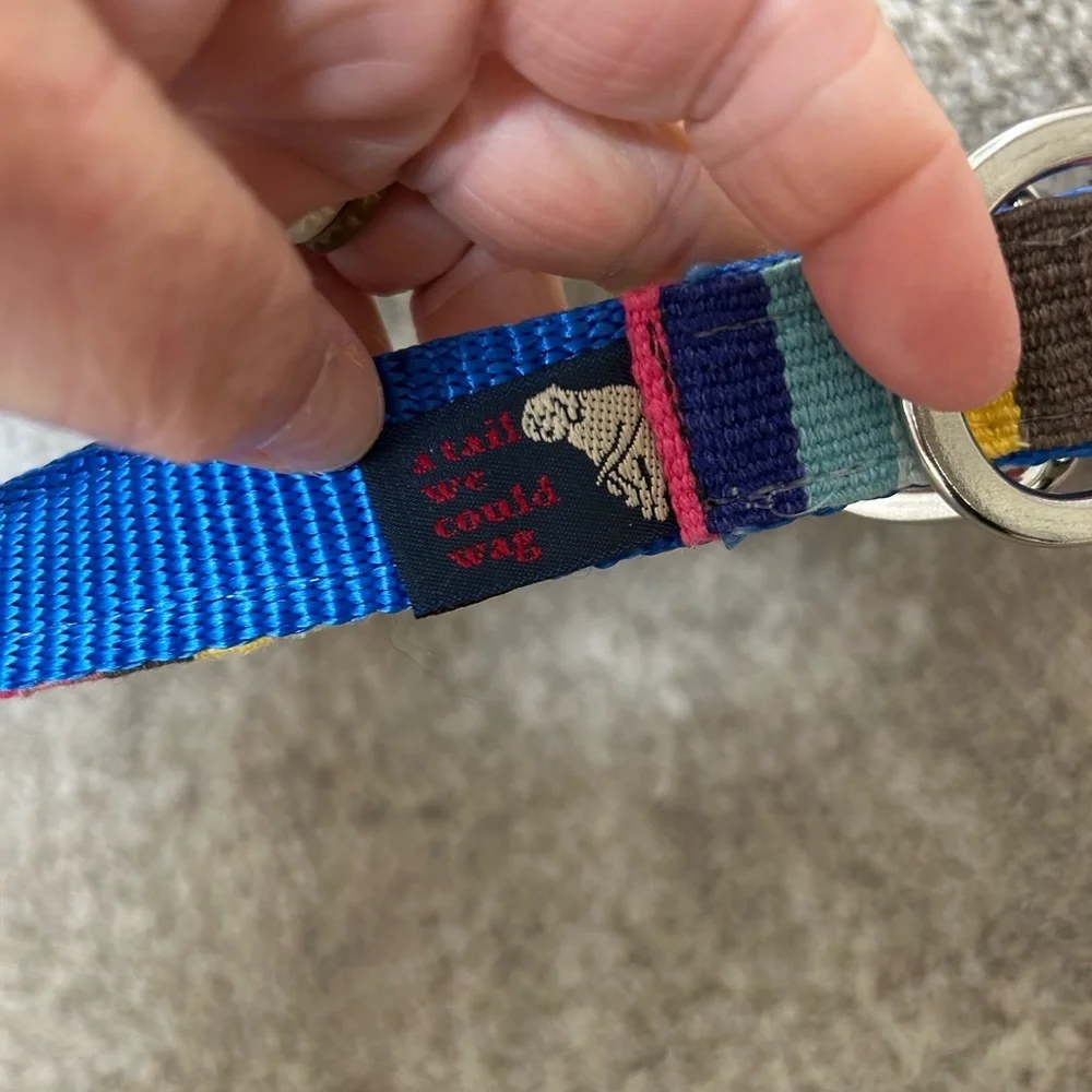 A Tail We Could Wag women’s striped belt with silver buckle. Colorful. Dog lover - Picture 3 of 10